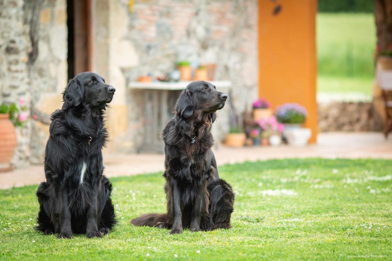 Mas Teixidor, Masia Entre Girona Y La Costa Brava Homestay Caldes de Malavella