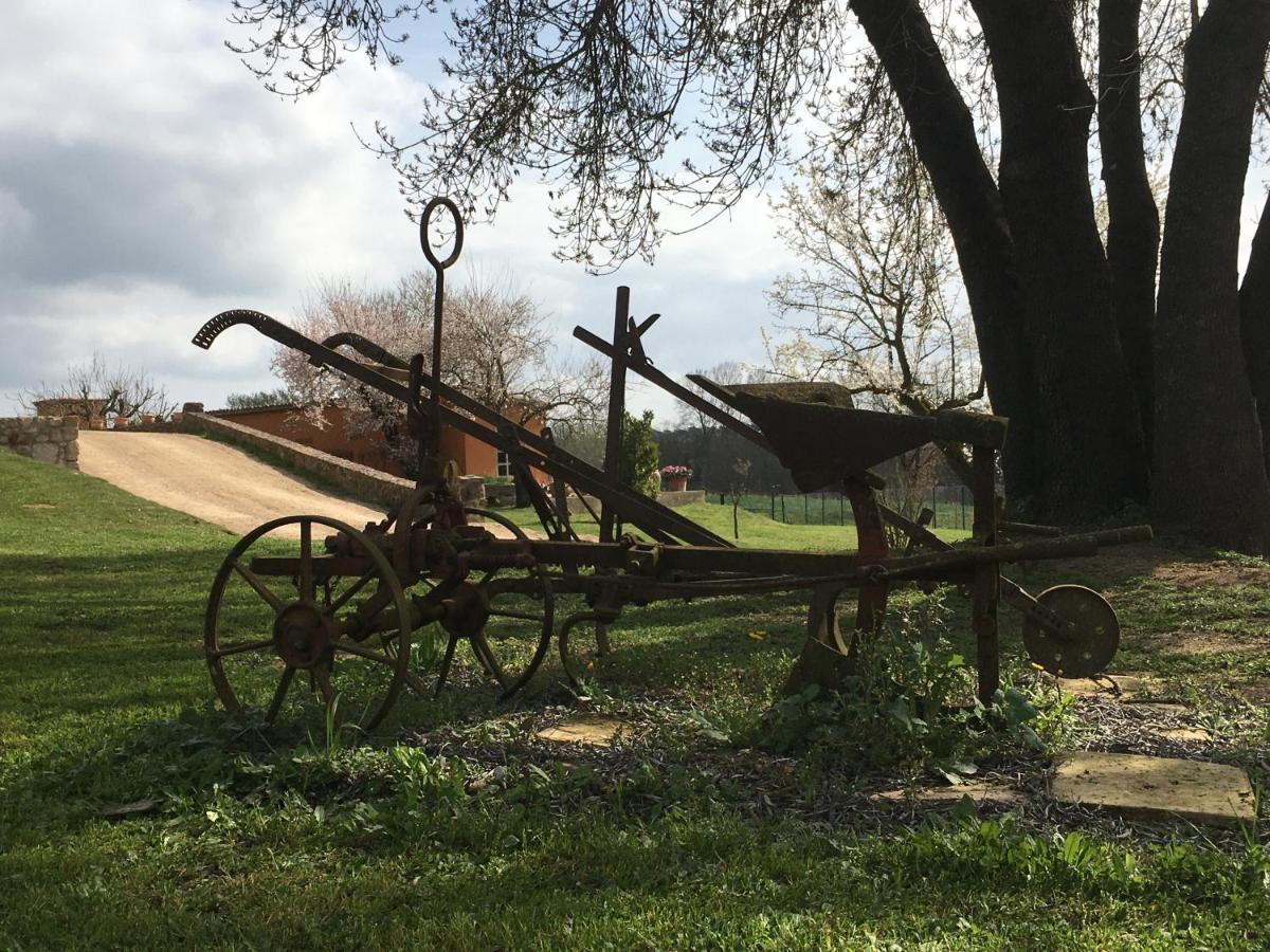 Homestay Mas Teixidor, Masia Entre Girona Y La Costa Brava Caldes de Malavella