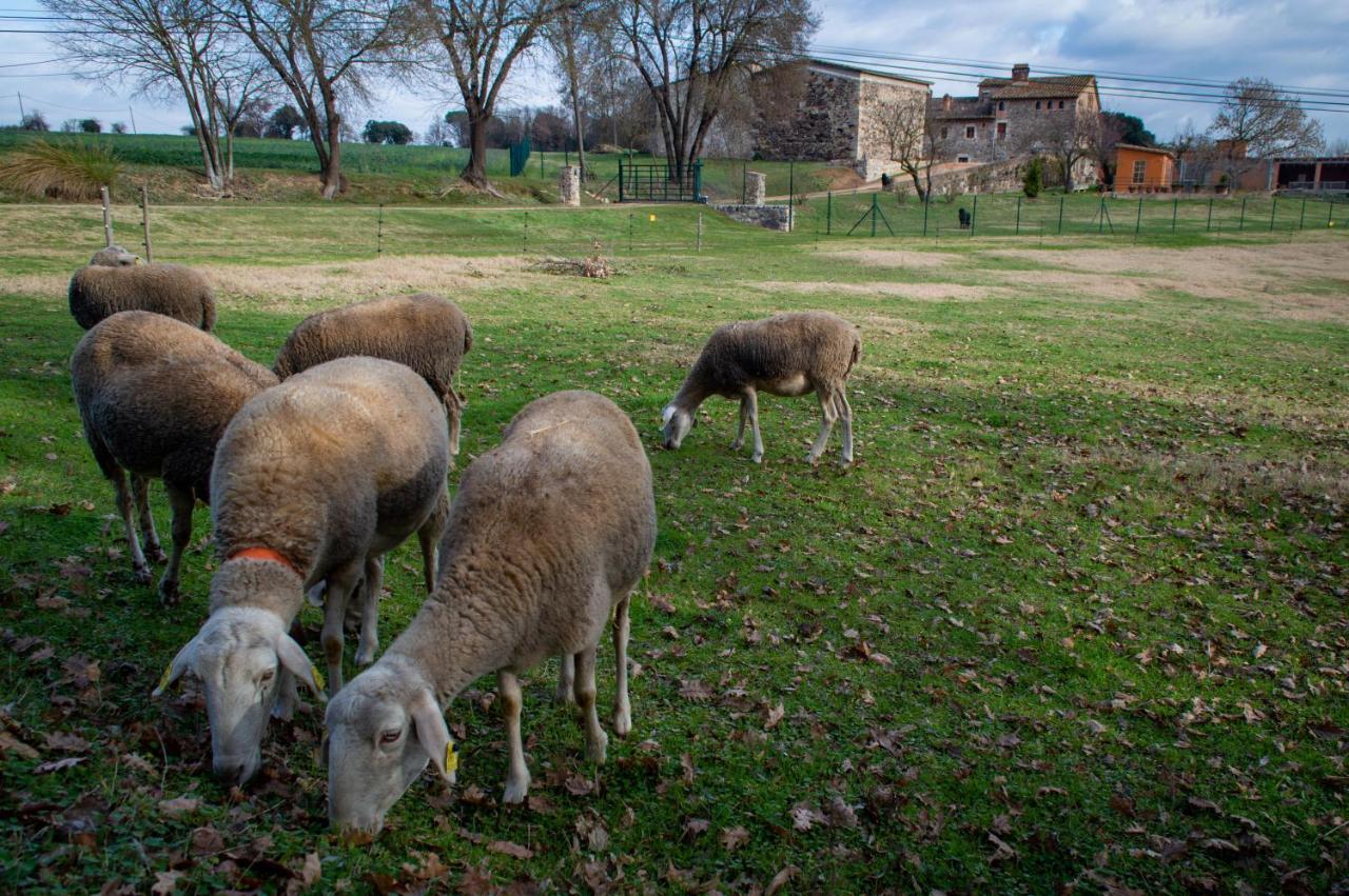 Mas Teixidor, Masia Entre Girona Y La Costa Brava Homestay *
