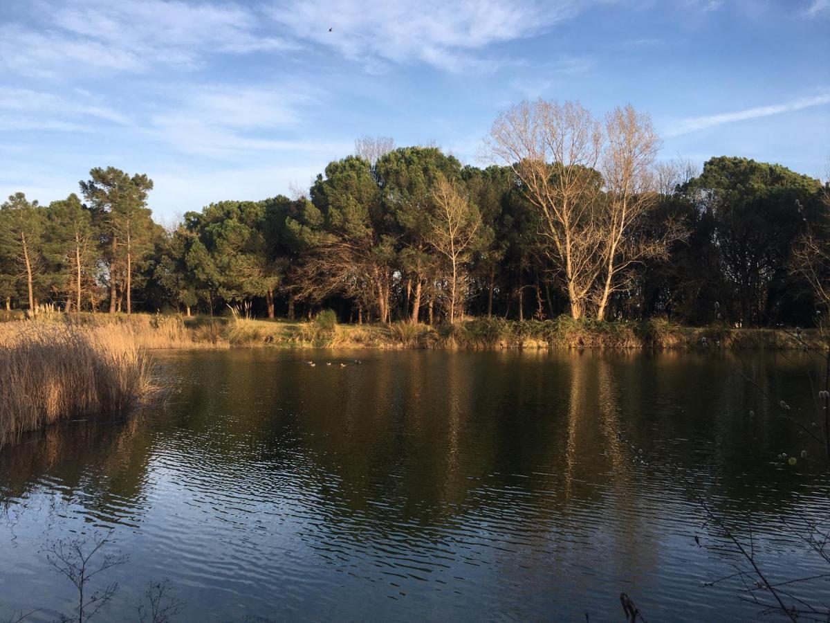 Mas Teixidor, Masia Entre Girona Y La Costa Brava Homestay Caldes de Malavella